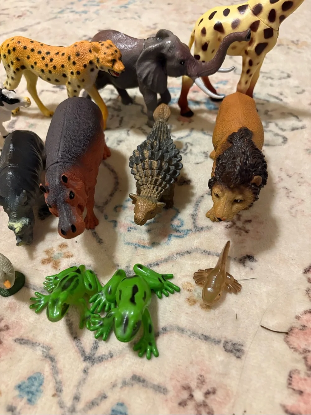 Target set assorted